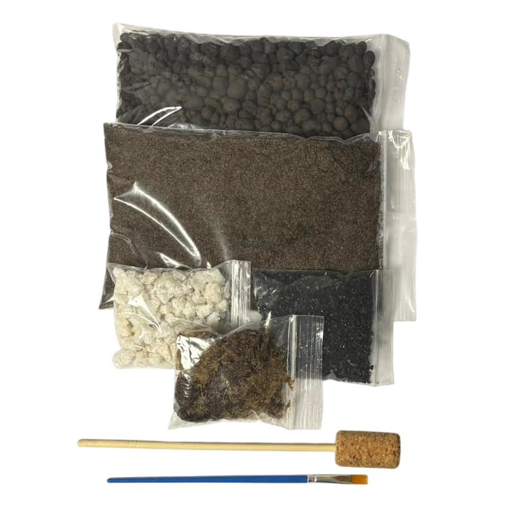 Blooming Box, Large Plant, DIY Terrarium Kit, Eco Friendly Packaging