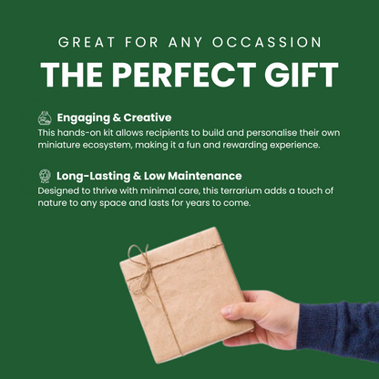 Blooming Box, Large Plant, DIY Terrarium Kit, Eco Friendly Packaging