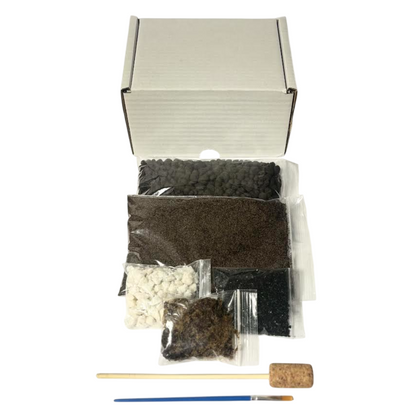 Blooming Box, Large Plant, DIY Terrarium Kit, Eco Friendly Packaging