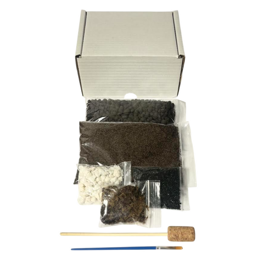 Blooming Box, Large Plant, DIY Terrarium Kit, Eco Friendly Packaging
